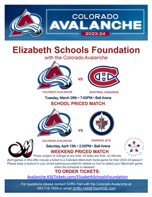 Avs flyer